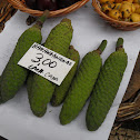 Monstera (Banana Ananaz)