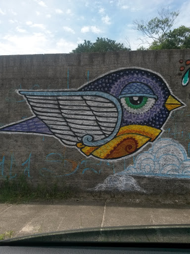 Graffiti Do Passarinho