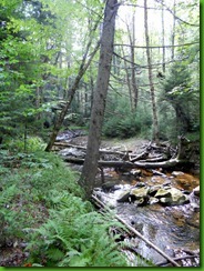 DSCN2619