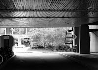 DSC_0393.JPG