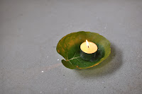 DSC_0312.jpg DSC_0312.jpg