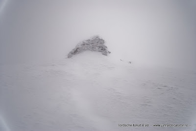 DSC_4121.jpg