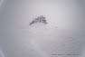 DSC_4121.jpg