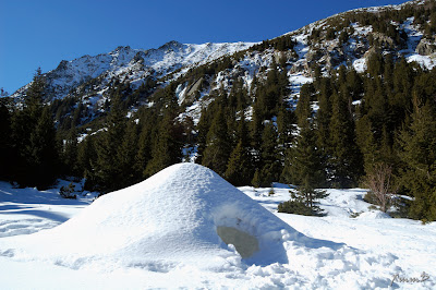 Igloo Igloo