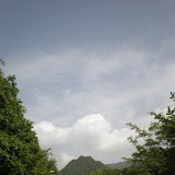 P5300591.JPG