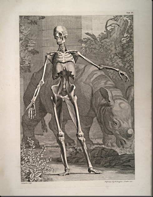 Bernhard_Siegfried_Albinus_Tablas_del_esqueleto_y_músculos_del_ cuerpo_humano