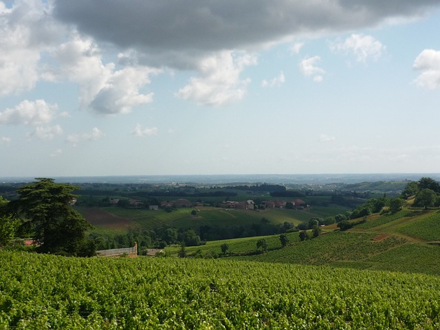 [P1060734[4].jpg]