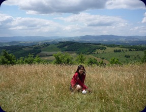 P1060753