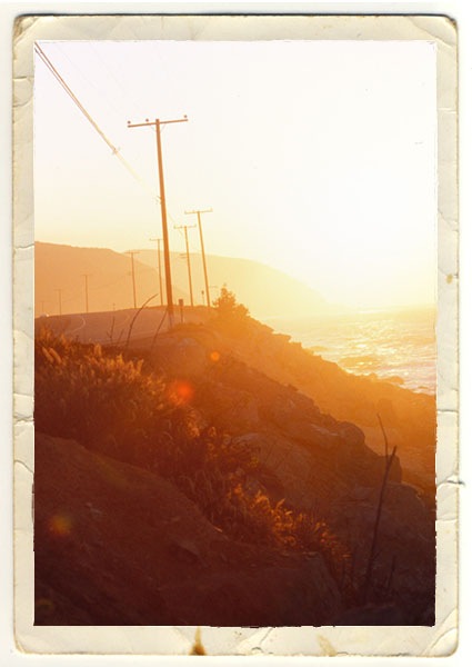 pch polaroid