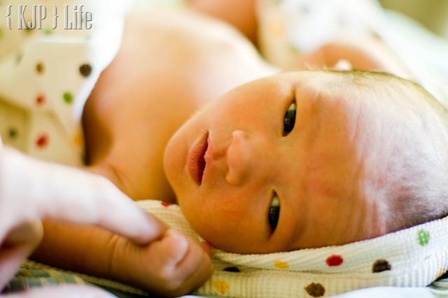 [_DSC2072[2].jpg]