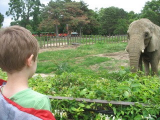 ben_elephant.jpg