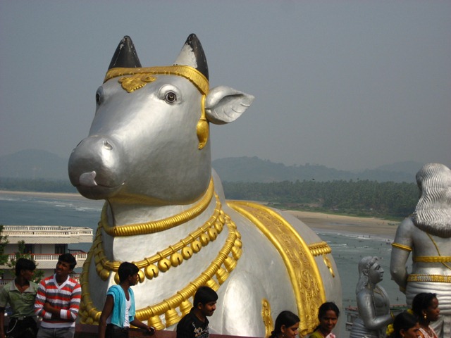 [IMG_47085.jpg]