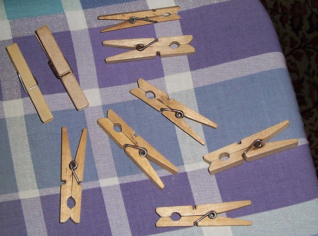 [Large Russian Storm Clothes Pegs - one normal clothes peg for size reference[2].jpg]