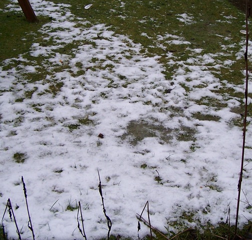 [February 2009 melting snow2[3].jpg]