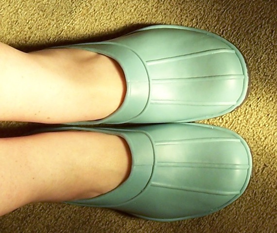 [Clogs1[4].jpg]