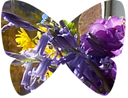 [May ... bluebells[6].png]