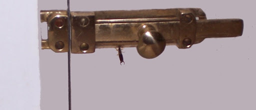 Earwig In Ear
