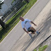 IMG_9175.JPG