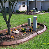 Jeffs pictures 570.jpg