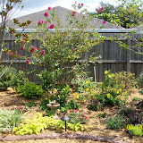 Jeffs pictures 863.jpg