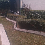 single block/no color