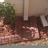 gutter pad