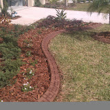 IMAG0164.jpg