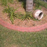 IMAG0192.jpg