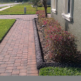 IMAG0221.jpg