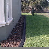 IMAG0222.jpg