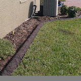 IMAG0230.jpg
