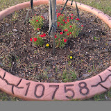 IMAG0244.jpg