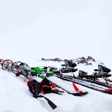 IMG_2236.jpg