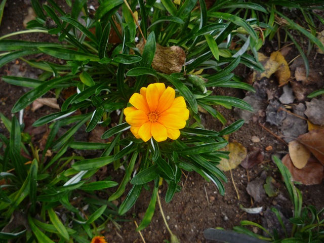 [P10405724.jpg]