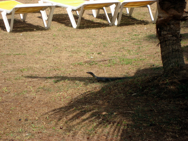 [IMG_5471.JPG]