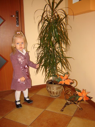 http://lh3.ggpht.com/_179FL2JV-R8/TIOQJ_ggVVI/AAAAAAAABBc/l55axwsyqW0/s512/DSC02876.JPG