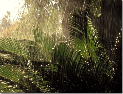 Awesome_Rainy_Wallpapers_www.laba.ws