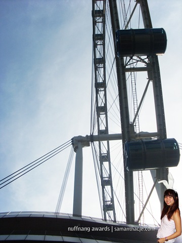[SL386998copy.jpg]