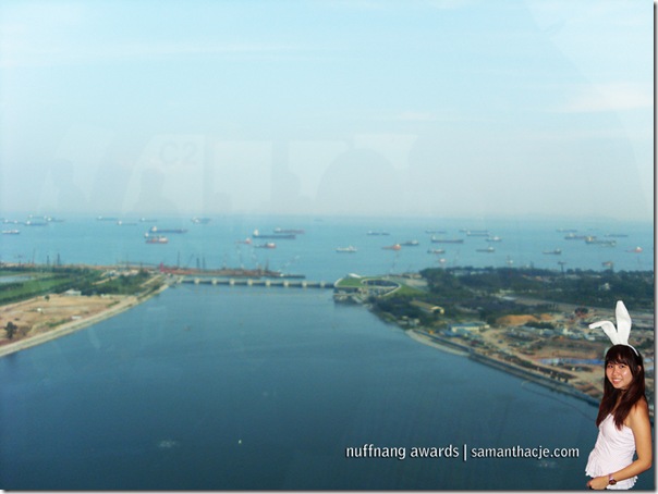 Sg Flyer view