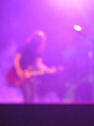 Guitarist