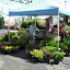 Lund Bros. Nursery