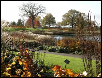 Wisley 15 Nov 2009 041