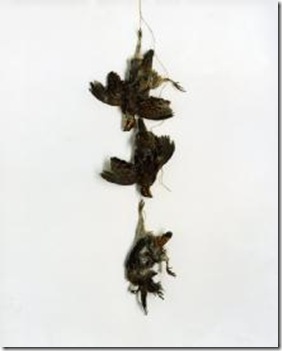 Angela West Untitled archival pigment print