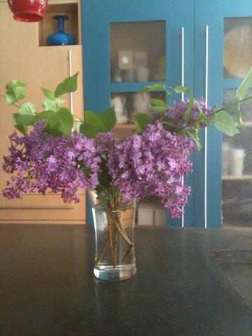[Lilac4.jpg]