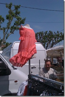 An Orange Dress Flying in the Wind
