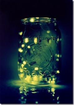 Fireflies