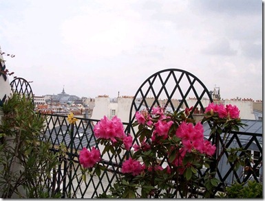 Meandering blooms