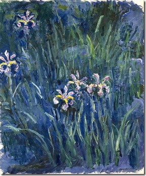 iris by claude monet