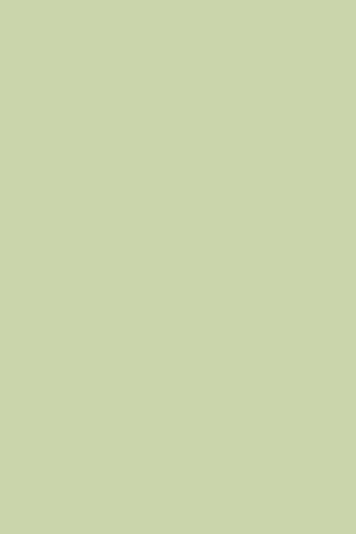 [Farrow and Ball Cooking Apple Green[4].jpg]