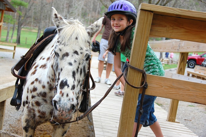 emily's horse2 copy